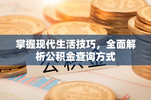 晋安掌握现代生活技巧，全面解析公积金查询方式