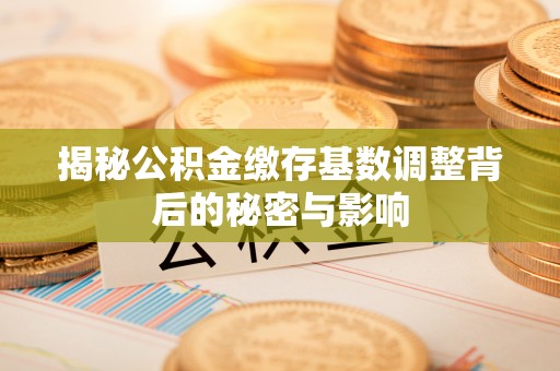 晋安揭秘公积金缴存基数调整背后的秘密与影响