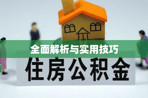 晋安全面解析与实用技巧