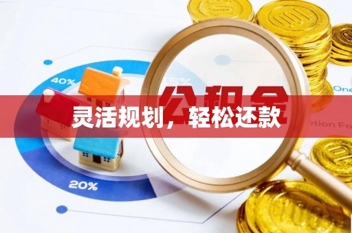 晋安灵活规划，轻松还款