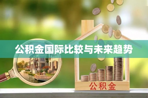 晋安公积金国际比较与未来趋势