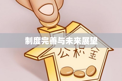 晋安制度完善与未来展望