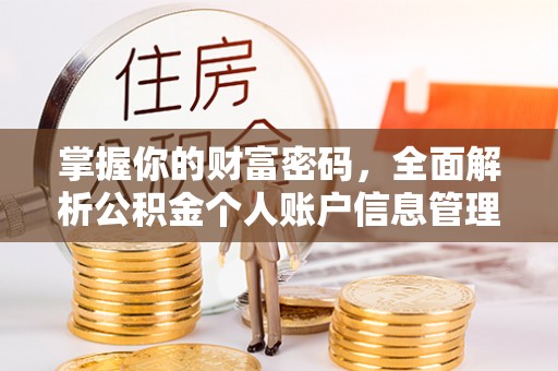 晋安掌握你的财富密码，全面解析公积金个人账户信息管理与优化