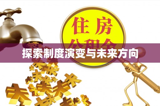晋安探索制度演变与未来方向