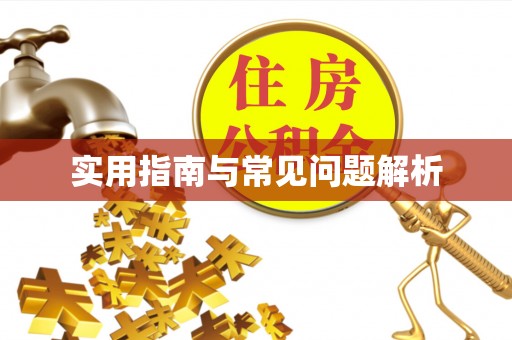 晋安实用指南与常见问题解析
