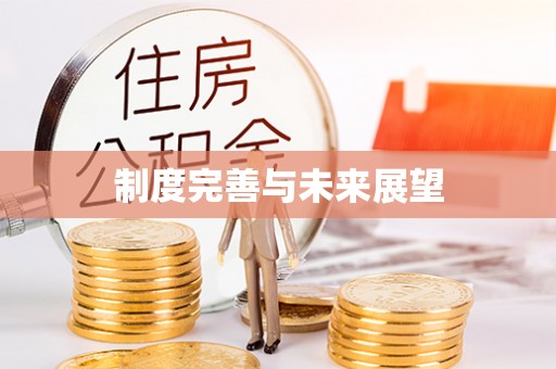 晋安制度完善与未来展望