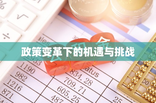 晋安政策变革下的机遇与挑战