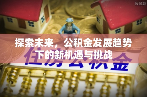 晋安探索未来，公积金发展趋势下的新机遇与挑战