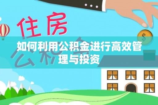 晋安如何利用公积金进行高效管理与投资