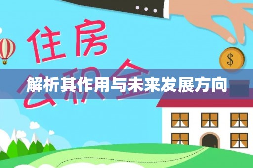 晋安解析其作用与未来发展方向