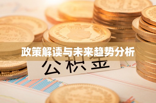 晋安政策解读与未来趋势分析