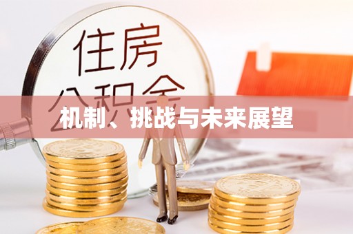 晋安机制、挑战与未来展望